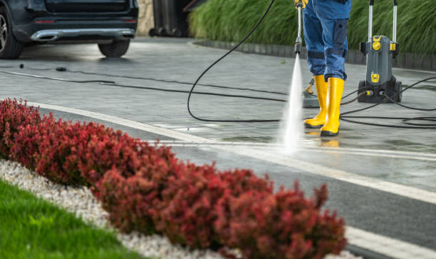 Best Driveway Pressure Washing  in Enfield, NC